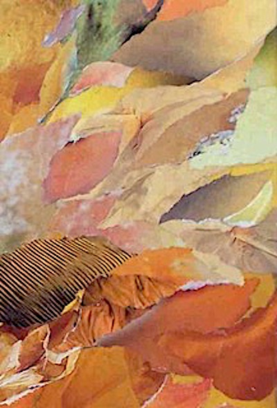 graine de soleil détail