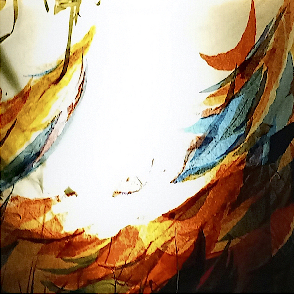 Collage transparent KO._square light